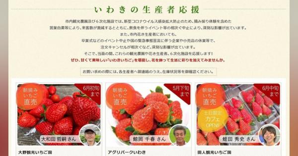イチゴ狩り激減、観光農園悲鳴　福島・いわき市が直売情報サイト