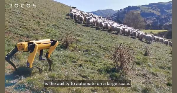 Boston Dynamicsの犬型ロボット「Spot」が牧羊犬に？