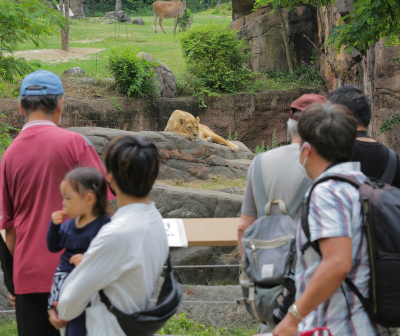 大阪・天王寺動物園が再開　約50日ぶり　ファンら間隔空けて