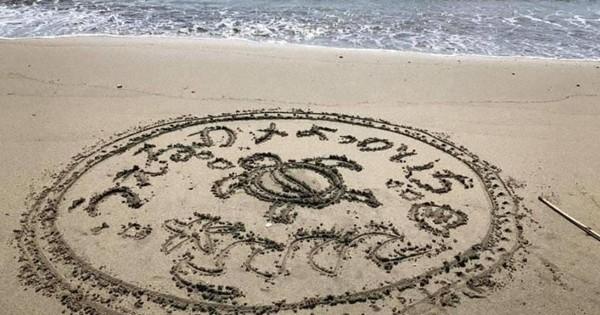 ウミガメが産卵する砂浜に「メッセージ」描こう　四日市・吉崎海岸でアートコンテスト
