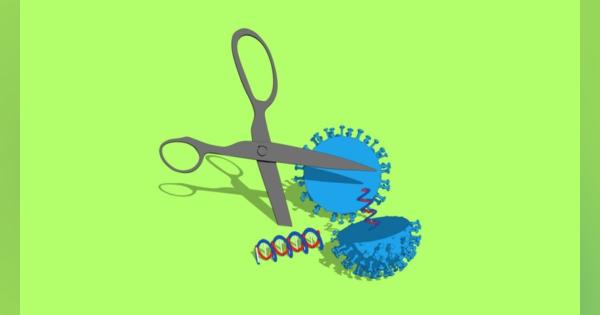これからのコロナウイルスとの闘いでは、ゲノム編集技術「CRISPR」が有力な“武器”になる