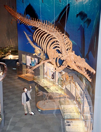 恐竜博物館に新展示、HPで紹介