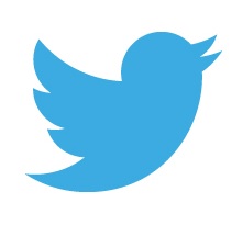 Twitter Japan、19年12月期の最終利益は19.7％増の4億0200万円