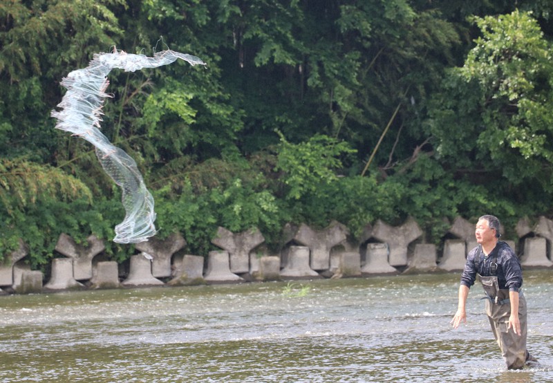 ピチピチ跳ねる姿「今年はいい感じ」　和歌山・紀の川でアユ漁解禁