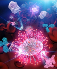 ガン治療でのナノ粒子のステルス性を向上　治療技術に期待　京大の研究