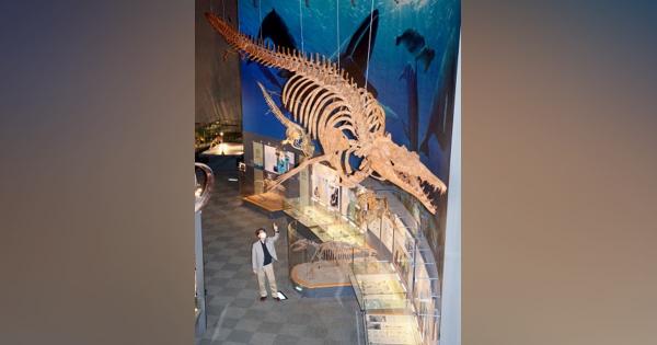 恐竜博物館、ネット予約で再開へ