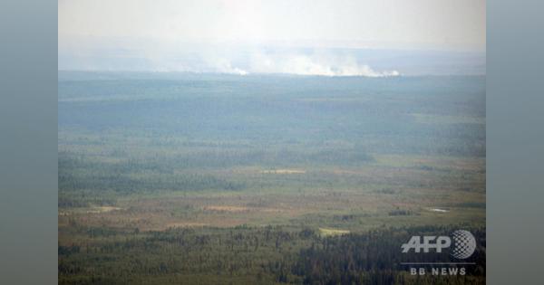 シベリア、5月に「極めて異常な」気温観測 平均より10度高い地域も