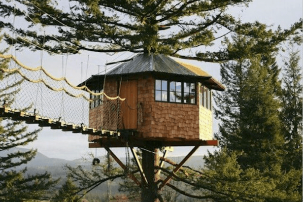 「成功したニューヨーカー」が樹上の狭小住宅で暮らすシンプルな理由