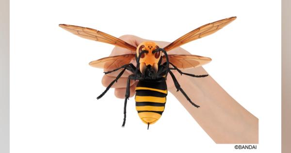 バンダイ、昆虫界最強の蜂をリアルな造形で再現したカプセル玩具『すずめばち』 を6月第3週より順次発売！