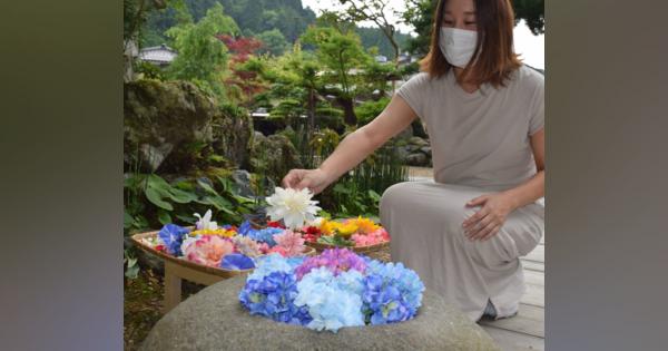 アジサイ、アサガオ…「花手水」参拝ついでに生けてみて　京都・宇治田原の正寿院