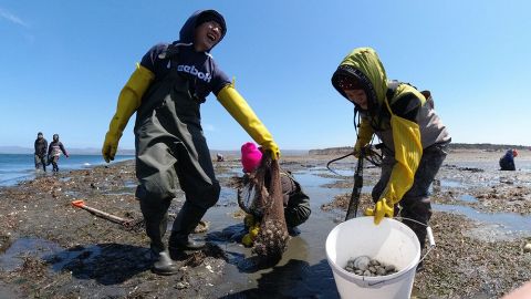 樺太「宝の湖」今も　資源保護と観光両立目指す　寒天製造復活の動き