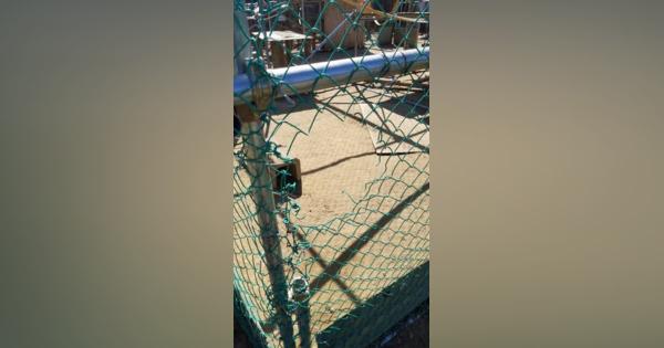 フェンス壊されサル70頭逃走　千葉・富津の動物園　昨年の台風でおり倒壊、仮設収容中