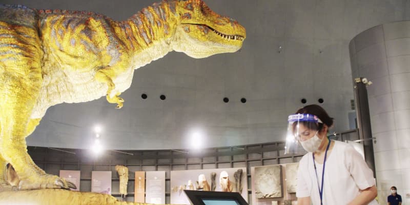 恐竜博物館は予防策を徹底、福井　3カ月半ぶり再開へ