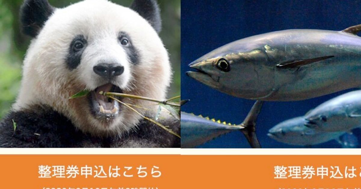 上野動物園と葛西臨海水族園の予約方法は？6月23日に再開