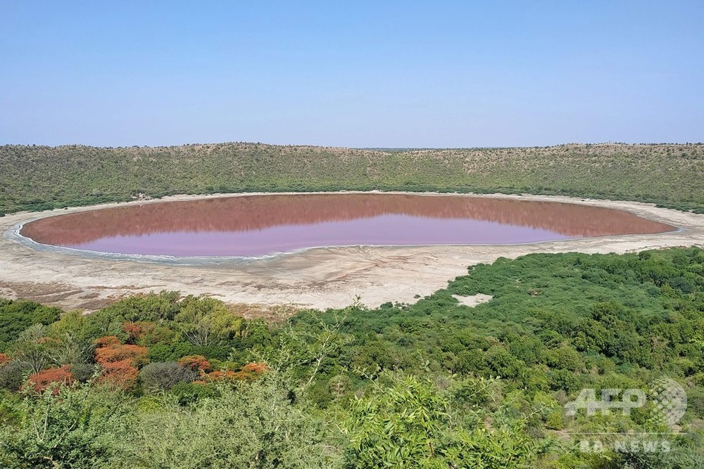 湖が一夜にしてピンク色に、塩分濃度と藻類が原因か インド
