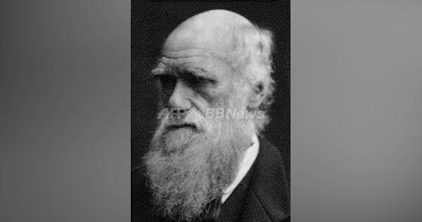 ダーウィンから｢社会ダーウィン主義｣へ、進化論わい曲の歴史