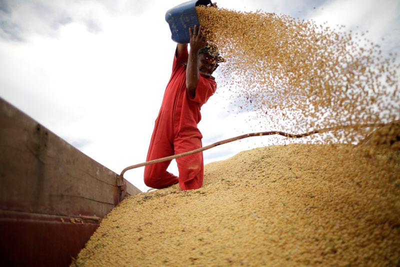 中国、輸入大豆に新型コロナ安全証明を要求