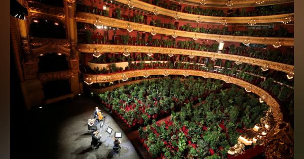 再開したオペラハウス、2000席を埋めたのは植物だった。バルセロナで不思議な光景