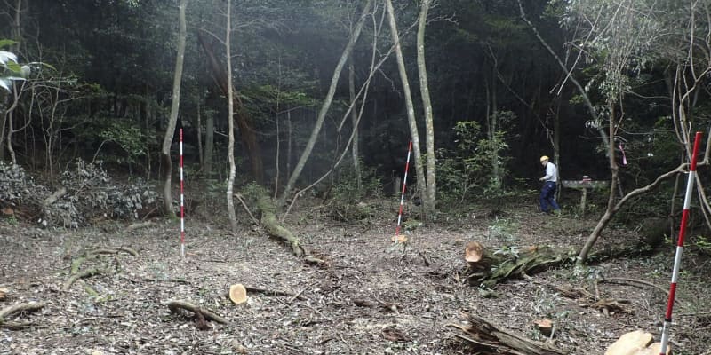 広島県 世界遺産で無許可伐採 宮島 弥山原始林 樹木33本