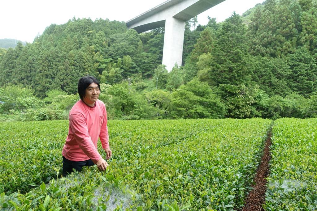 “静岡産茶”コロナ苦境　新たな茶ビジネス創出急務