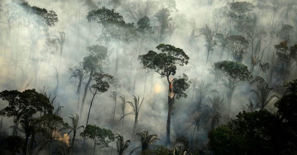アマゾン、森林破壊加速　ブラジル政府、環境軽視　コロナ禍で対策予算削減