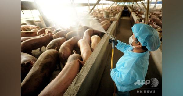 中国で新型豚インフルを確認、パンデミックの可能性も