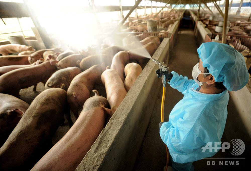 中国で新型豚インフルを確認、パンデミックの可能性も