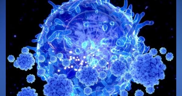新型ウイルスの免疫、予想上回る人が保持＝スウェーデン研究 - BBCニュース