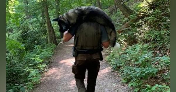 熱中症で衰弱の大型犬を背負って下山、森林警備員「彼こそ、アンサング・ヒーロー！」 | その背中に称賛の嵐！