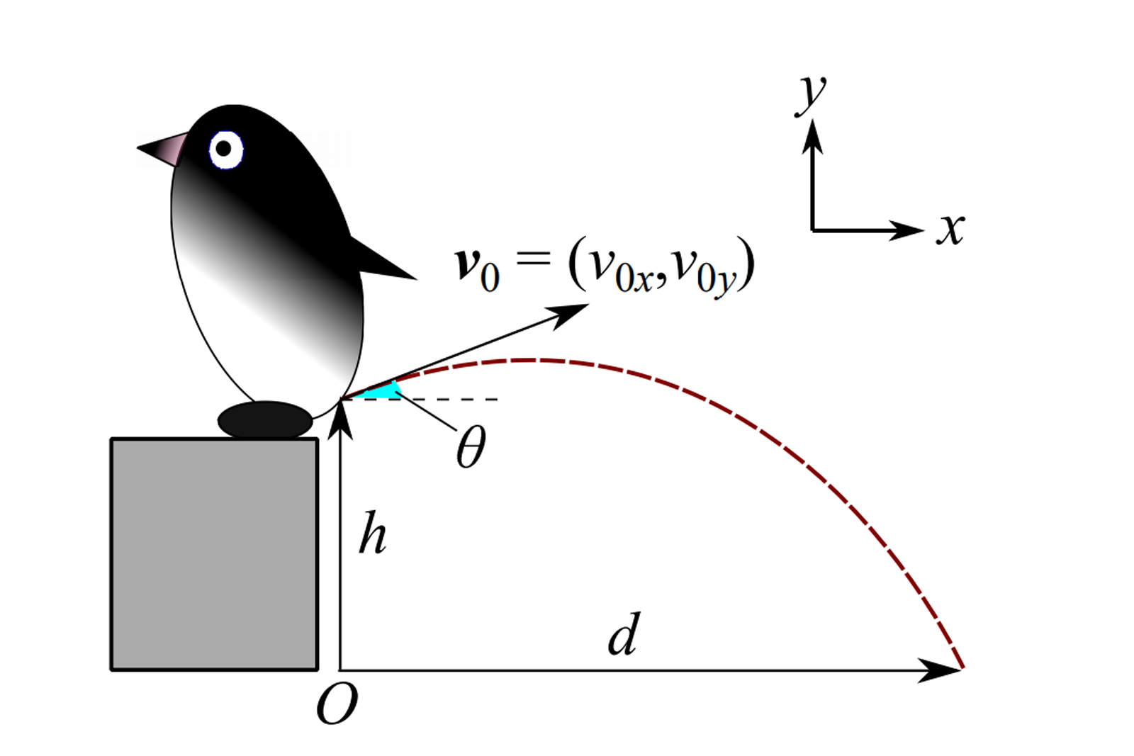 ペンギンの「フン射」から確実に逃れるには最低1.34m。高知大研究者が論文