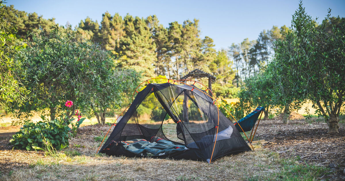 アウトドア版Airbnb「Hipcamp」は人新世を再定義する