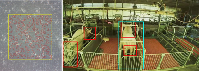 IoTデータ活用を通じた「持続可能な養豚繁殖モデル」の実証実験が開始　農場現場でのデジタル化の有効性を検証へ