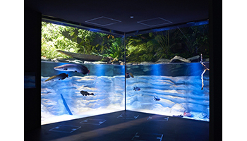 最新展示技術を駆使、「カワスイ 川崎水族館」が7月17日に開業
