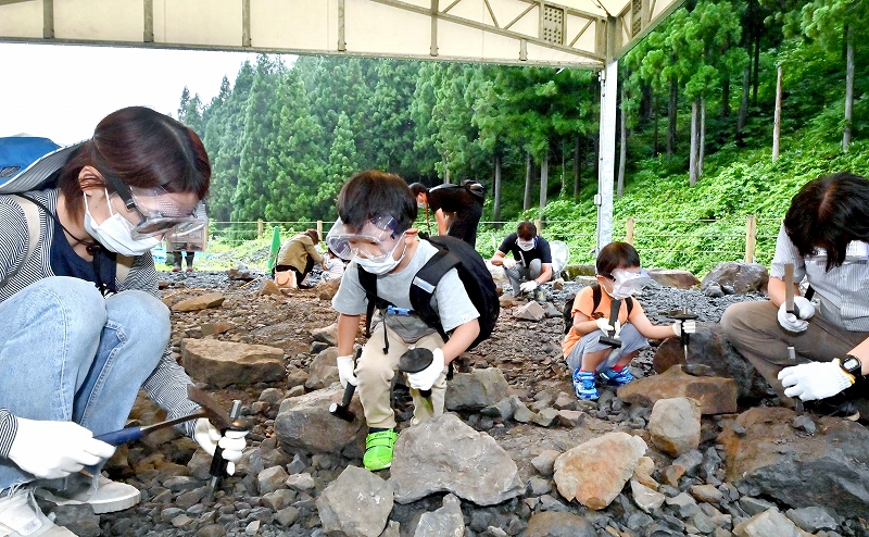化石発掘体験再開、子どもたち歓声
