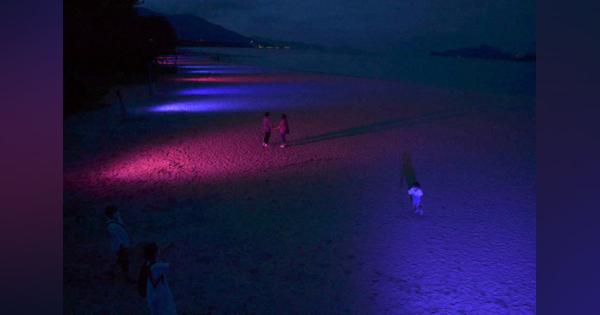 赤、青、黄夜の砂浜を彩る光と音　京都・天橋立で9月まで