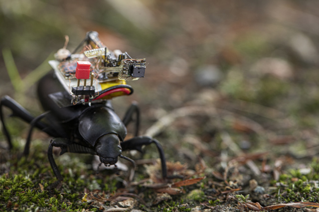 ワシントン大学が「昆虫用GoPro」を開発。虫が背負うロボットカメラ