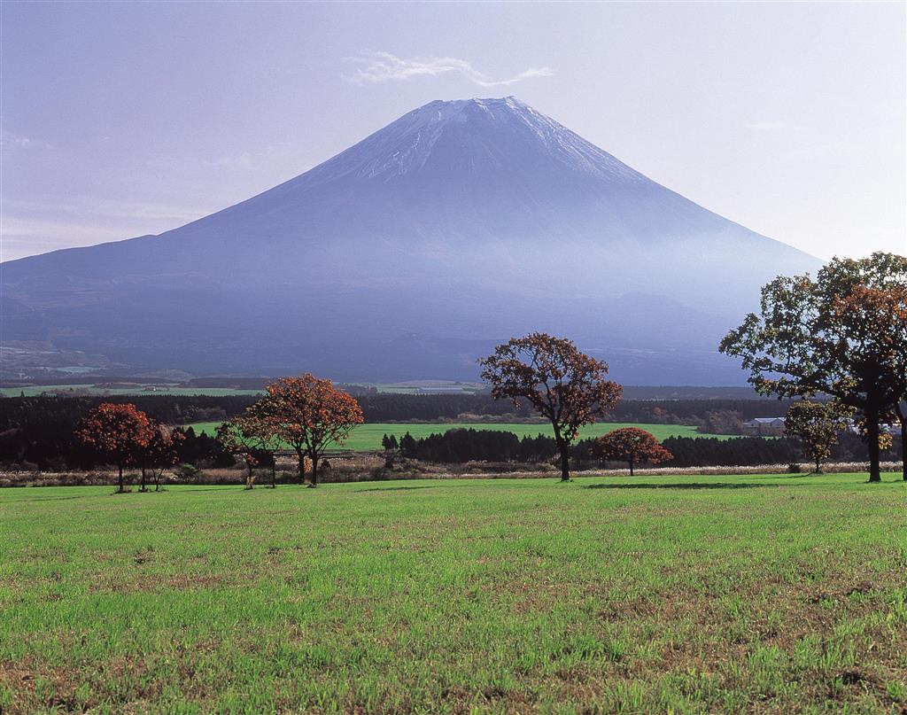 【深層リポート】今年は「眺める富士山」に　登山道と山小屋が全面閉鎖