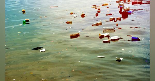 OECD・環境省、海洋プラスチックごみの削減へ　ワークショップの成果を公表