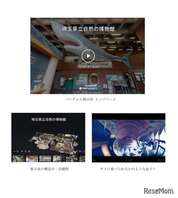 埼玉県立自然の博物館、自宅で見学「バーチャル展示室」開設