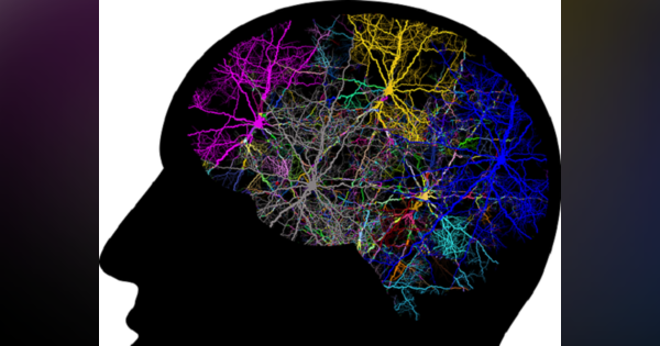 人間の脳を真似た省エネ設計の機械学習アルゴリズム「e-prop」が登場！
