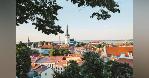 サウナと自然と働く。エストニア「リモートワーカー向けビザ」がつくる未来の働き方