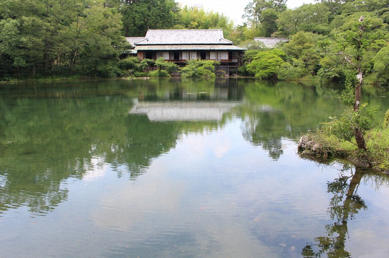 静岡・三島の小浜池、57年ぶりに水位2メートル突破　最高に迫る