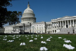 全米看護師連合、議会前に１６４足の靴　コロナ支援策訴え：時事ドットコム