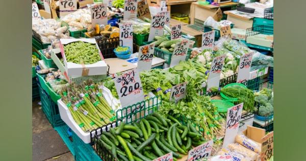 青果物のサプライチェーン再構築を支援！「DATAFLUCT food supply chain.」