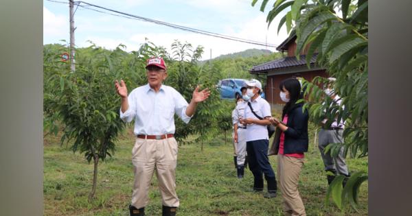 生産量、最盛期の15分の１「丹波くり」生産者育成へ　マイスターが技術伝授