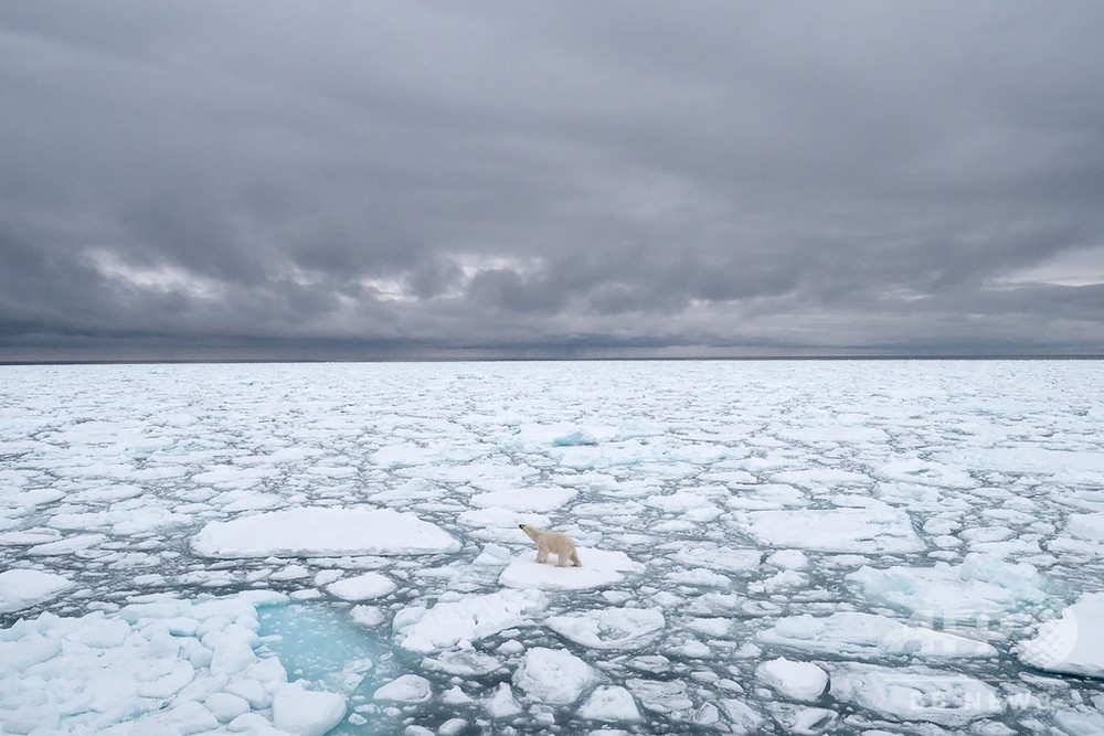 北極圏スバルバル諸島で史上最高気温、21.7度を観測