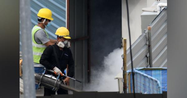 デング熱、空前の大流行　コロナ影響か―シンガポール：時事ドットコム