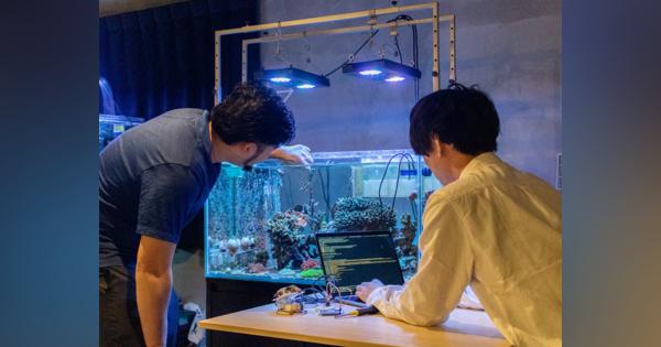 東大発スタートアップ「ノイカ」が世界初のサンゴの人工産卵実証実験を再始動