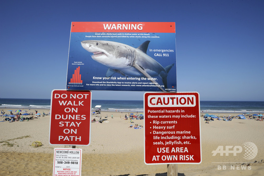 サメに襲われ遊泳中の女性死亡 米メーン州