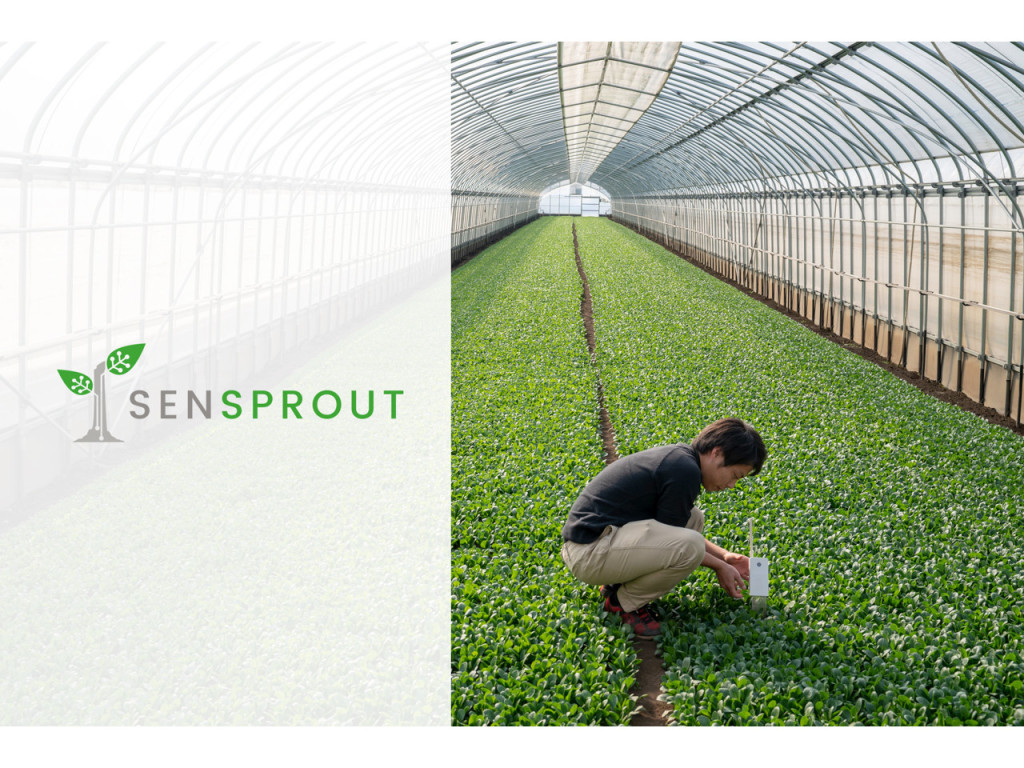 農業用土壌水分センサー・灌水制御・ビニールハウスソリューションのSenSproutが資金調達を実施